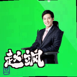 赵飒
